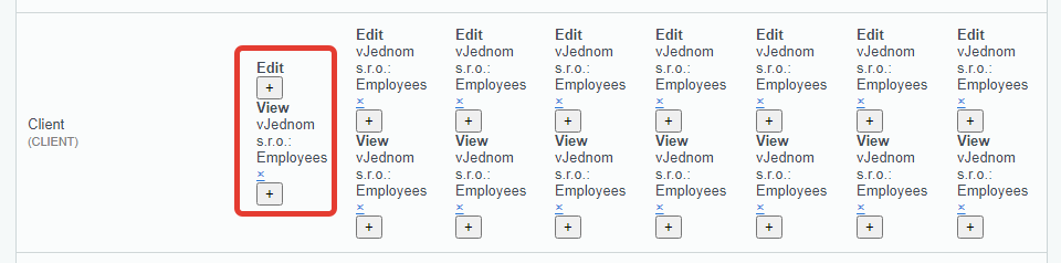 grant access for the view